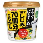 永谷園 1杯でしじみ70個分のちから スープはるさめ 18.5g×6個