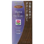 テンスター カラーリングヘアパック ブラウン 150g