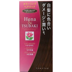 テンスター カラーリングヘアパック ダークブラウン 150g