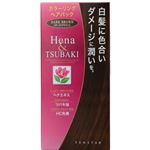 テンスター カラーリングヘアパック ダークブラウン 150g