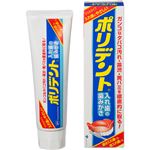 ポリデント入れ歯の歯みがき 95g