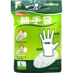 フアスト綿手袋L 3双入