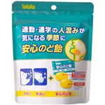 タカラ 安心のど飴 42g