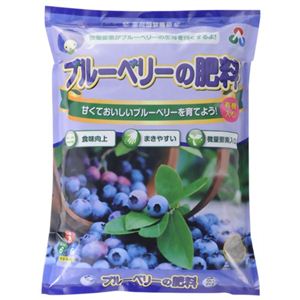 朝日工業 ブルーベリーの肥料 2kg