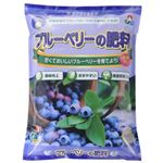 朝日工業 ブルーベリーの肥料 2kg