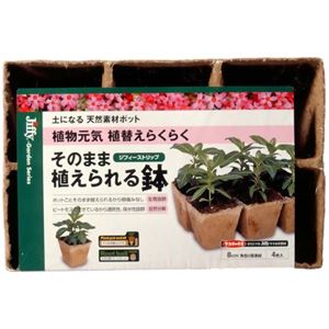 ジフィーガーデン そのまま植えられる鉢 角型8cm 6個連結4枚入