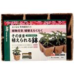ジフィーガーデン そのまま植えられる鉢 角型8cm 6個連結4枚入