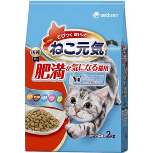 ねこ元気 肥満が気になる猫用 まぐろ・野菜・白身魚・チキン入り 2kg