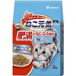 ねこ元気 肥満が気になる猫用 まぐろ・野菜・白身魚・チキン入り 2kg