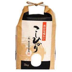 日生 長野県コシヒカリ 5kg