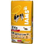 アイムス 子犬用ラム＆ライス 6.5kg