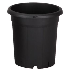 果樹鉢 365型 ブラック