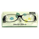 スカッシー スマート ブラック 8810-01 ワイド（花粉用メガネ）