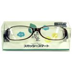 スカッシー スマート ブラウン 8810-02 ワイド（花粉用メガネ）