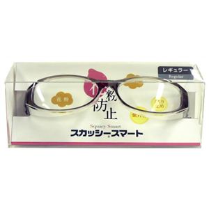 スカッシー スマート グレー 8811-02 レギュラー（花粉用メガネ）