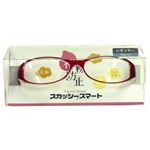 スカッシー スマート レッド 8811-03 レギュラー（花粉用メガネ）