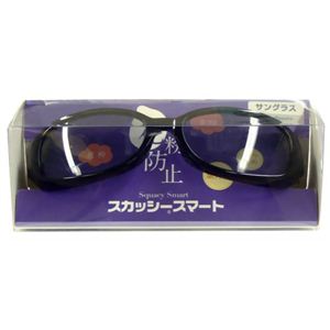 スカッシー スマートサングラス 8814-02 グレー（花粉用メガネ）