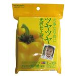 コクヨ インクジェットプリンタ用紙 デジカメ光沢紙 厚手 L判 100枚 KJ-RG1376