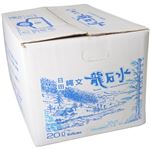 日田縄文龍石水 20L