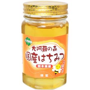 大阿蘇の森 国産はちみつ 480g