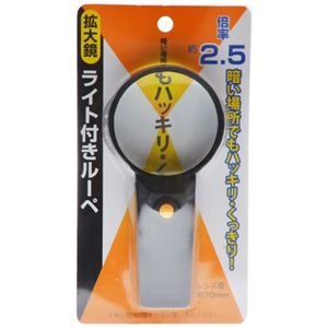 拡大鏡 ライト付きルーペ 510-05