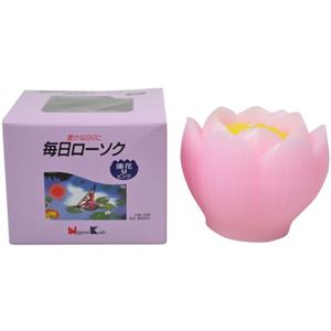 毎日ローソク 蓮花 M ピンク 台無