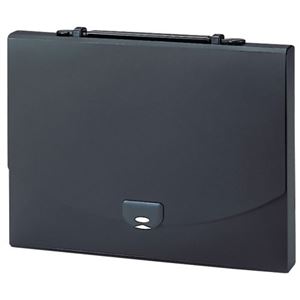 プレイング 2ウェイケース A4 AP-952-60 ブラック