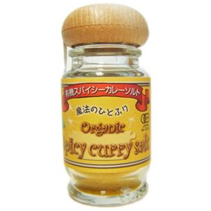 魔法のひとふり 有機スパイシーカレーソルト 45g