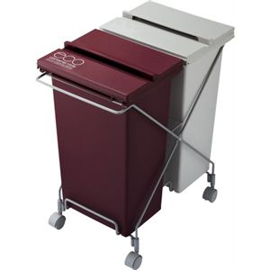 コンテナスタイルII CS2-40 MX 21L×2個