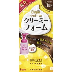 ビゲンヘアカラーDX クリーミーフォーム ポンプ付き 3RB（リッチブラウン）