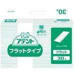 業務用 アテント フラットタイプ 2回吸収 30枚入