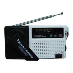 フィールテック LEDライト付AM・FMラジオ DH-920