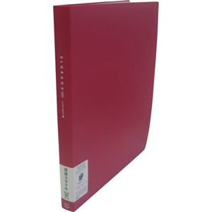 LIHIT LAB Avanti エルグランド・クリヤーブック A4縦 N-3612-3 赤