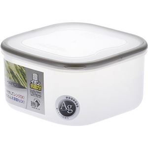 パッセハード WS-4 シルバー 1.32L