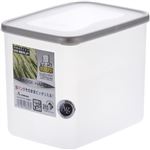 パッセハード WB-1 シルバー 4.6L