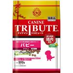 ケイナイン・トリビュート チキン 小粒 パピー 900g（450g×2袋）