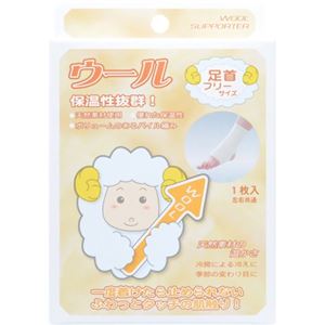 ウールサポーター 足首 フリー