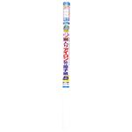 麻入りアイロン貼り障子紙 真竹 94cm×4.3m