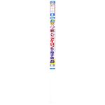 麻入りアイロン貼り障子紙 萩 94cm×4.3m