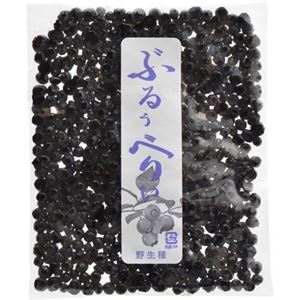 野生種ブルーベリー 120g