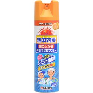 熱中対策 服の上から体を冷やすスプレー サマーシトラス 330ml