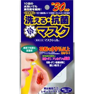 （まとめ買い）洗える抗菌鼻マスク 花粉対策 レギュラーサイズ 3個入 ケース付×6セット - 拡大画像