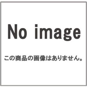 東芝 除湿機用脱臭フィルター RAD-F013