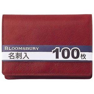 BLOOMSBURY 100枚名刺入 NN286 C ブラウン