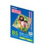 ナカバヤシ ラミネートフィルム E2タイプ 100ミクロン B5サイズ LPR-B5E2-SP 20枚入