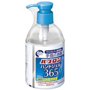 パブロンハンドジェル365 250ml
