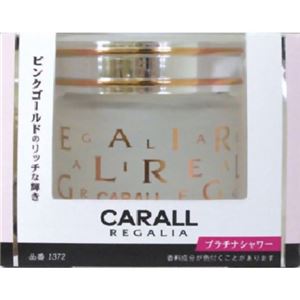 カーオール レガリア プラチナシャワー 65ml