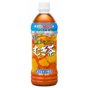 【ケース販売】健康ミネラルむぎ茶 600ml×24本