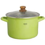 富士ホーロー B・M・S パスタポット 22cm 5.6L バスケット付 グリーン BMP-22P・G