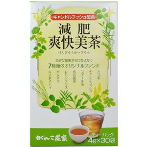 がんこ茶家 減肥爽快美茶 4g×30袋